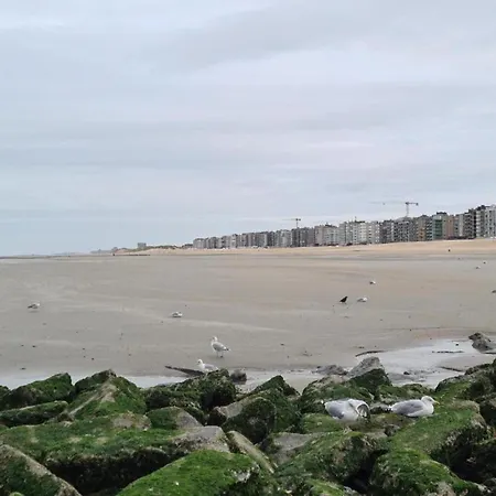 Near Belgian Coast With Sea View, Cleaning Included Koksijde