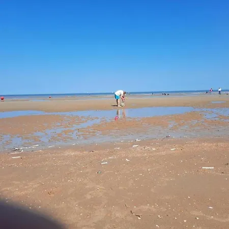 Near Belgian Coast With Sea View, Cleaning Included Apartmán *