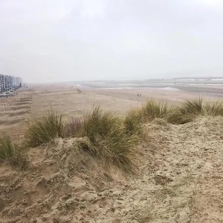 Near Belgian Coast With Sea View, Cleaning Included Koksijde