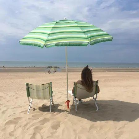 Near Belgian Coast With Sea View, Cleaning Included Apartmán