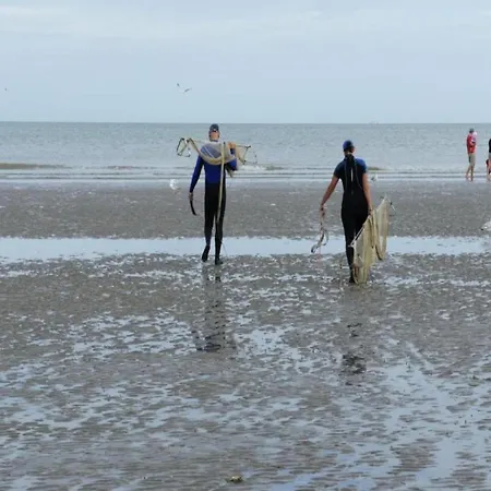 Near Belgian Coast With Sea View, Cleaning Included Apartmán