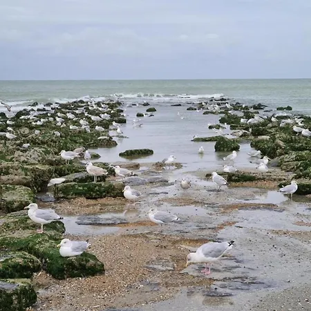 Apartmán Near Belgian Coast With Sea View, Cleaning Included